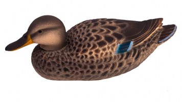 mallard duck relief